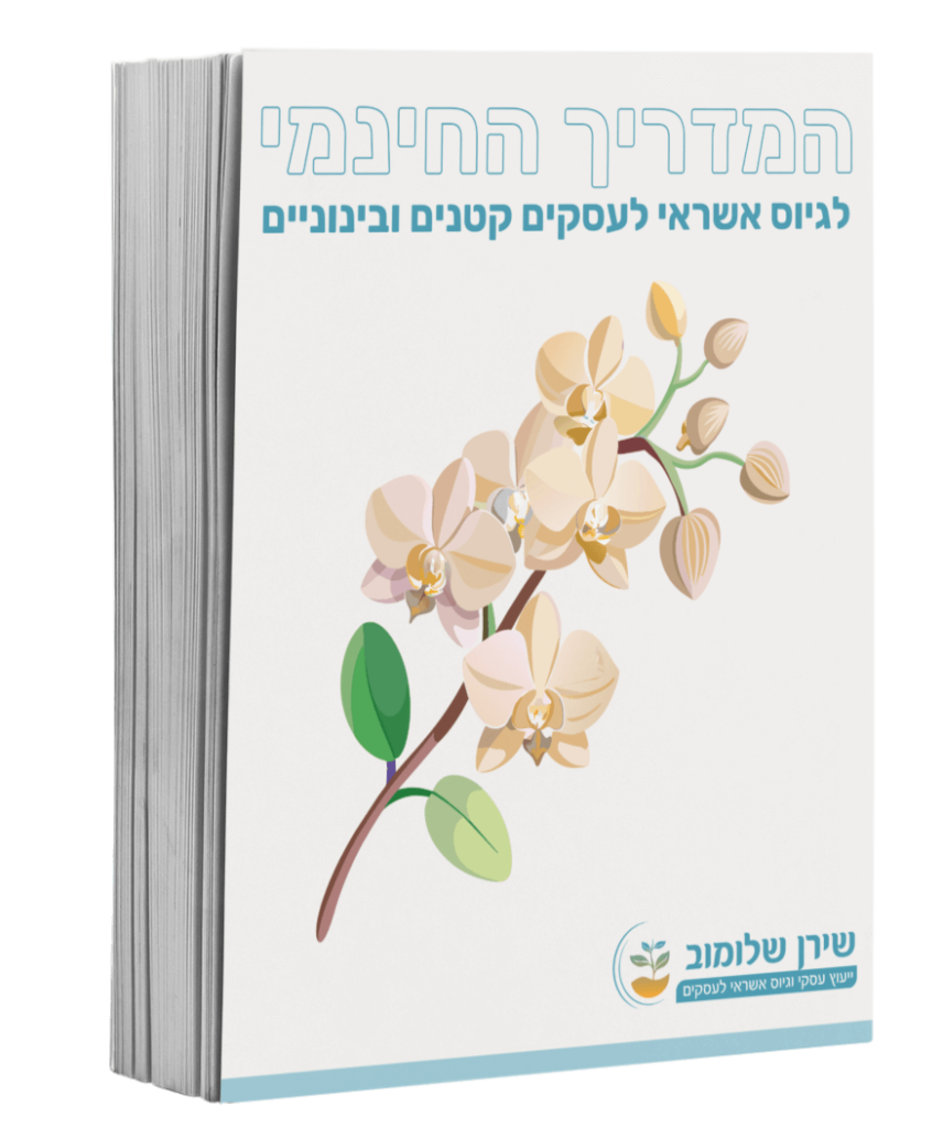 המדריך החינמי לגיוס אשראי לעסקים קטנים ובינוניים